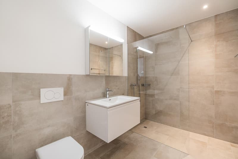 Modern 5.5-Room Family Apartment in New Development in Othmarsingen (CH)