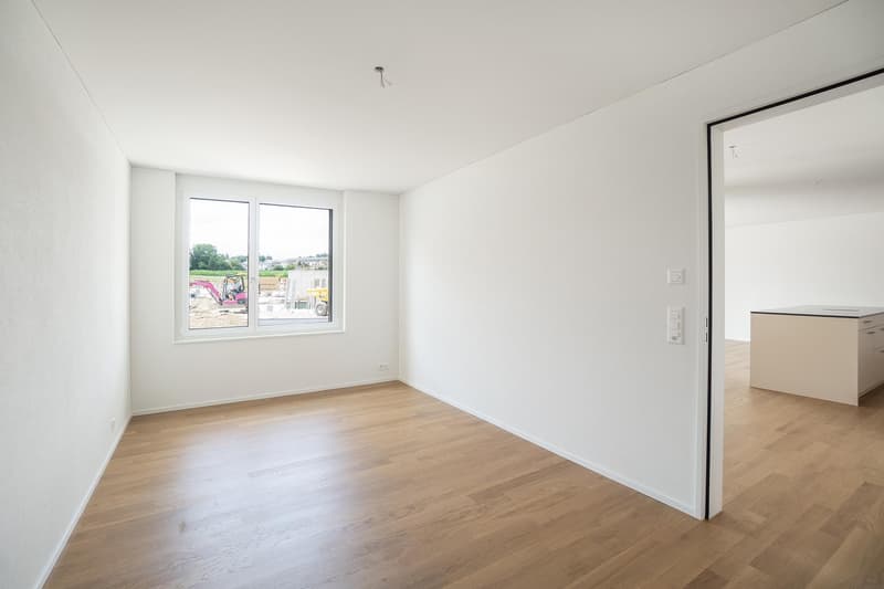 Modern 5.5-Room Family Apartment in New Development in Othmarsingen (CH)