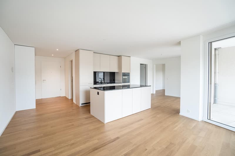 Modern 5.5-Room Family Apartment in New Development in Othmarsingen (CH)