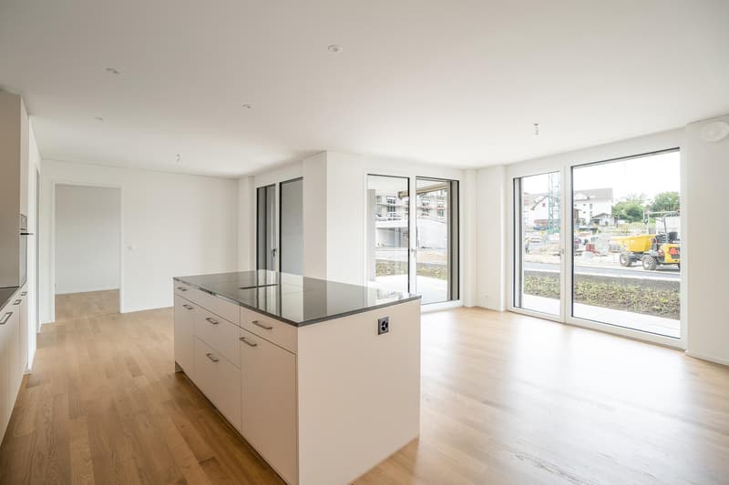 Modern 5.5-Room Family Apartment in New Development in Othmarsingen (CH)