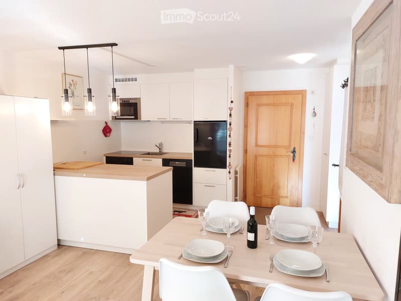 Alpine 2-Room Furnished Apartment with Balcony in Haute-Nendaz