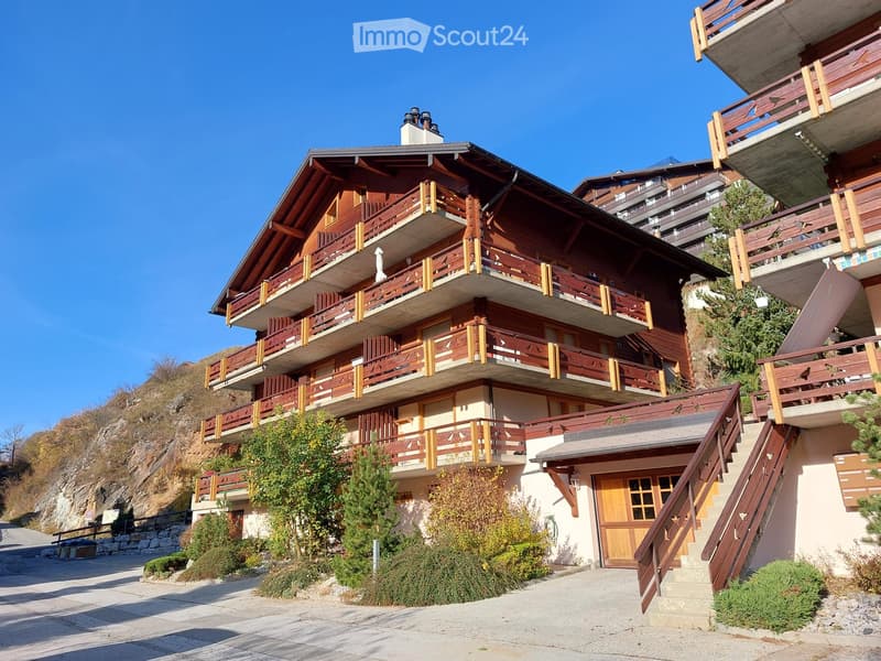 Alpine 2-Room Furnished Apartment with Balcony in Haute-Nendaz
