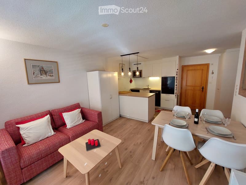 Alpine 2-Room Furnished Apartment with Balcony in Haute-Nendaz