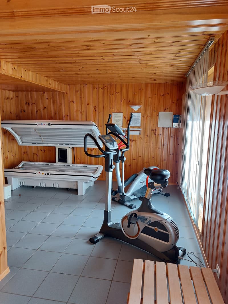 Alpine 2-Room Furnished Apartment with Balcony in Haute-Nendaz