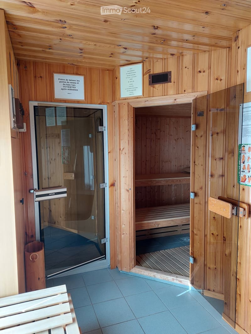 Alpine 2-Room Furnished Apartment with Balcony in Haute-Nendaz